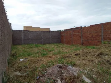imagem 2 - Terreno Venda no Flórida Park imagem 2 - Terreno Venda no Flórida Park