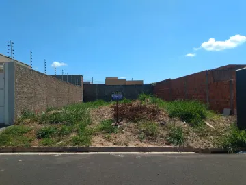 Terreno / Padrão em São José do Rio Preto 