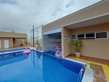 Alugar Apartamento / Padrão em São José do Rio Preto R$ 1.203,00 - Foto 17