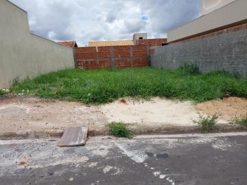 Alugar Terreno / Padrão em São José do Rio Preto. apenas R$ 105.000,00