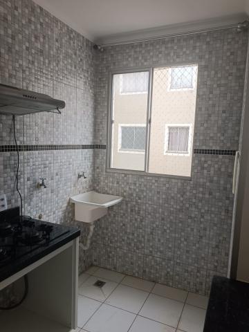 Alugar Apartamento / Padrão em São José do Rio Preto. apenas R$ 700,00