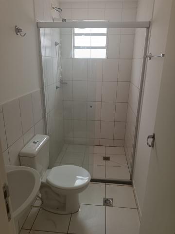 imagem 2 - Rio Amazonas - Apartamento com 02 dormitórios à Venda imagem 2 - Rio Amazonas - Apartamento com 02 dormitórios à Venda