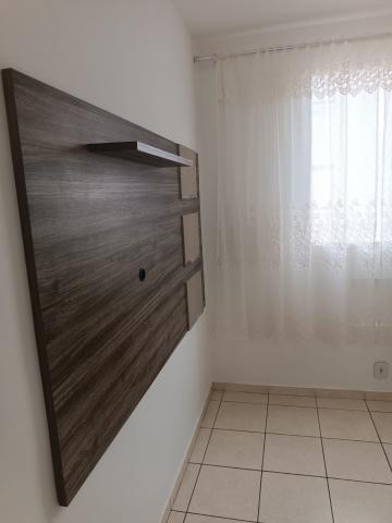 Alugar Apartamento / Padrão em São José do Rio Preto apenas R$ 700,00 - Foto 3