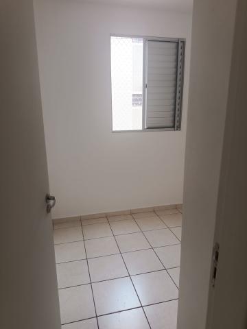 Alugar Apartamento / Padrão em São José do Rio Preto R$ 700,00 - Foto 5