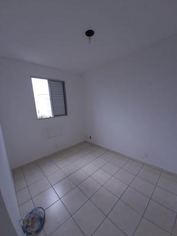 imagem 4 - Apartamento Venda e Locação com 2 dormitórios no Rio Amazonas imagem 4 - Apartamento Venda e Locação com 2 dormitórios no Rio Amazonas