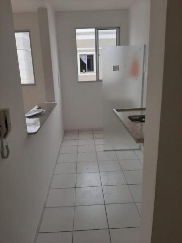 imagem 2 - Apartamento Venda e Locação com 2 dormitórios no Rio Amazonas imagem 2 - Apartamento Venda e Locação com 2 dormitórios no Rio Amazonas