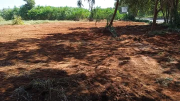 Comprar Terreno / Área em São José do Rio Preto apenas R$ 1.100.000,00 - Foto 3