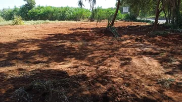 imagem 4 - Área no Eldorado - Avenida Tanabi com 1.784m² imagem 4 - Área no Eldorado - Avenida Tanabi com 1.784m²
