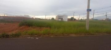 imagem 1 - Terreno - Padrão imagem 1 - Terreno - Padrão