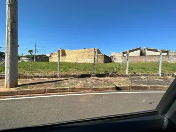 Terreno / Padrão em São José do Rio Preto 