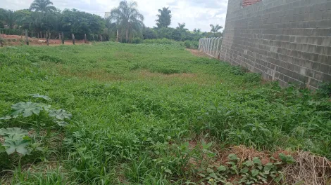 imagem 1 - Estância das Paineiras - Excelente Terreno Venda imagem 1 - Estância das Paineiras - Excelente Terreno Venda