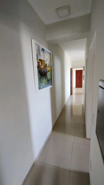 Comprar Apartamento / Padrão em São José do Rio Preto R$ 399.000,00 - Foto 5