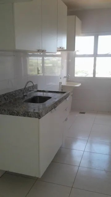 Alugar Apartamento / Padrão em São José do Rio Preto apenas R$ 1.350,00 - Foto 4