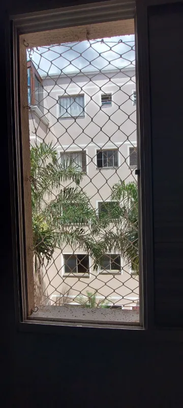 Alugar Apartamento / Padrão em São José do Rio Preto R$ 1.200,00 - Foto 31