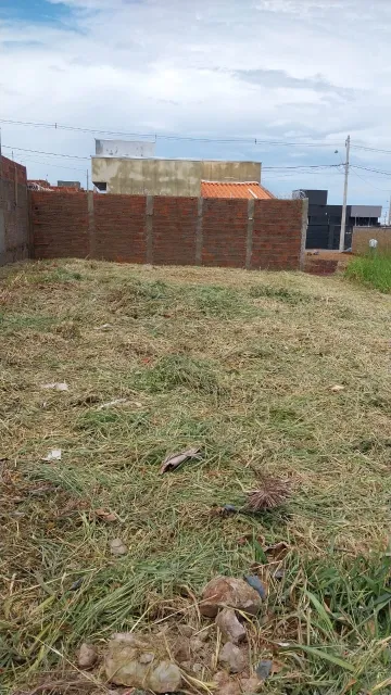 imagem 2 - Terreno murado Setvalley III imagem 2 - Terreno murado Setvalley III