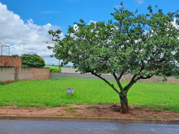 Comprar Terreno / Condomínio em Mirassol R$ 250.000,00 - Foto 3