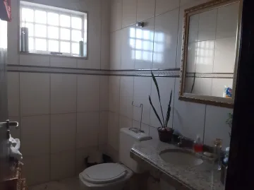 Comprar Casa / Padrão em São José do Rio Preto apenas R$ 600.000,00 - Foto 24