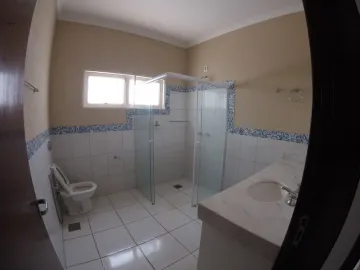 Alugar Casa / Condomínio em São José do Rio Preto R$ 4.500,00 - Foto 18