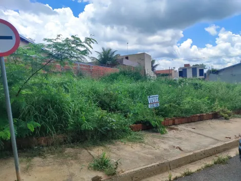 imagem 4 - Terreno a venda no Parque das Amoras II com 242 m² (11 x 22), quitado e escriturado, pronto para construção imagem 4 - Terreno a venda no Parque das Amoras II com 242 m² (11 x 22), quitado e escriturado, pronto para construção