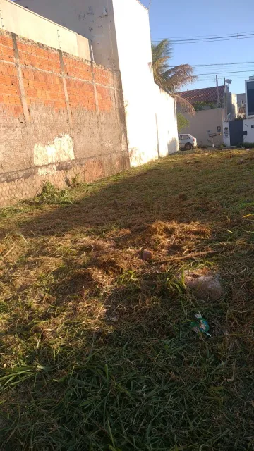 Comprar Terreno / Padrão em São José do Rio Preto R$ 140.000,00 - Foto 1