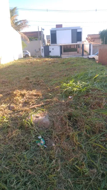 imagem 2 - Terreno a venda no Parque das Amoras II com 242 m² (11 x 22), quitado e escriturado, pronto para construção imagem 2 - Terreno a venda no Parque das Amoras II com 242 m² (11 x 22), quitado e escriturado, pronto para construção