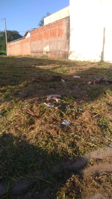 imagem 3 - Terreno a venda no Parque das Amoras II com 242 m² (11 x 22), quitado e escriturado, pronto para construção imagem 3 - Terreno a venda no Parque das Amoras II com 242 m² (11 x 22), quitado e escriturado, pronto para construção