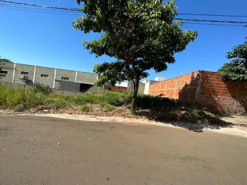 Terreno / Padrão em São José do Rio Preto 