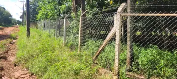 Comprar Rural / Chácara em São José do Rio Preto R$ 700.000,00 - Foto 3