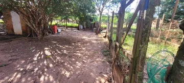 Comprar Rural / Chácara em São José do Rio Preto R$ 700.000,00 - Foto 28
