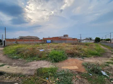 Terreno / Padrão em São José do Rio Preto 