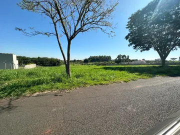 Comprar Terreno / Condomínio em São José do Rio Preto R$ 1.000.000,00 - Foto 2