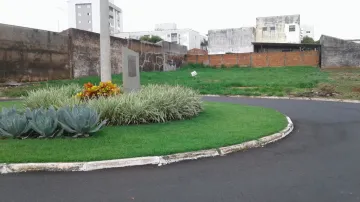 imagem 5 - Vila Dias, Terreno com 12 metros de testada - 380m² de área total imagem 5 - Vila Dias, Terreno com 12 metros de testada - 380m² de área total