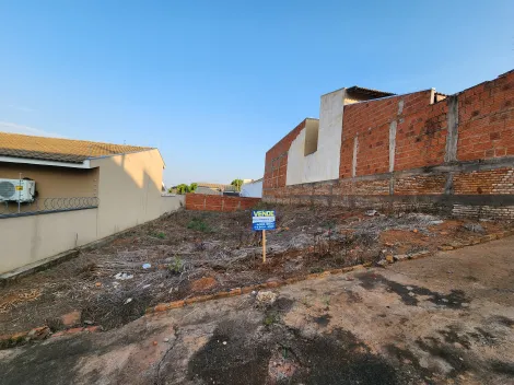 Terreno / Padrão em São José do Rio Preto 