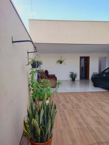 Casa / Padrão em Cedral , Comprar por R$290.000,00