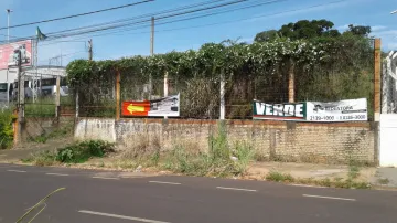 imagem 4 - Av Alfredo Folchini - área de 2.000m² com testada de 20 metros, Marginal da Washington Luiz imagem 4 - Av Alfredo Folchini - área de 2.000m² com testada de 20 metros, Marginal da Washington Luiz