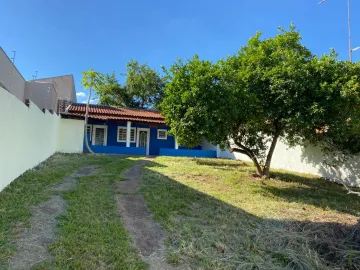 Casa / Padrão em São José do Rio Preto Alugar por R$1.300,00