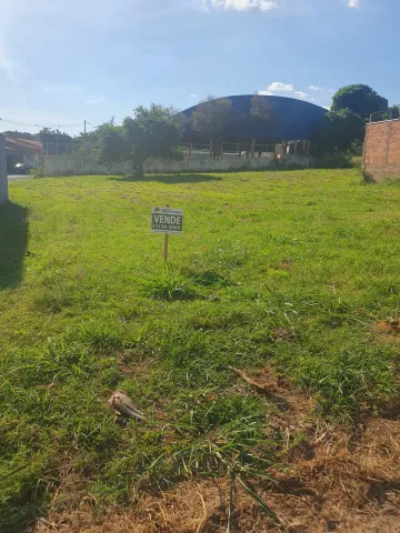 Comprar Terreno / Padrão em São José do Rio Preto apenas R$ 100.000,00 - Foto 2