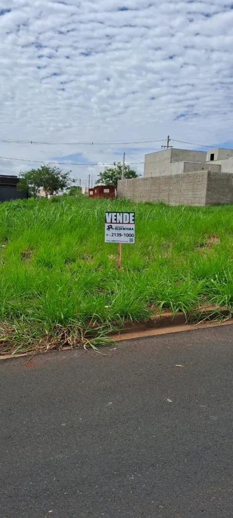 Comprar Terreno / Padrão em São José do Rio Preto R$ 90.000,00 - Foto 2