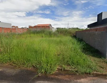 Terreno / Padrão em São José do Rio Preto 