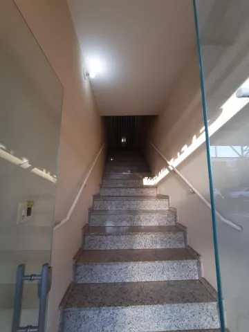 Alugar Comercial / Sala em São José do Rio Preto R$ 2.000,00 - Foto 4