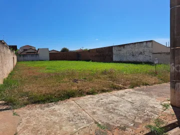 Comprar Terreno / Área em São José do Rio Preto R$ 550.000,00 - Foto 3