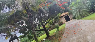 imagem 3 - Chácara Locação Parque das Nascentes imagem 3 - Chácara Locação Parque das Nascentes