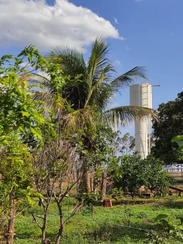 imagem 1 - Sítio a 2 km da cidade de Tanabi, com 2.5 alqueires (60.500m²), com casa, curral, tanque de peixe, poço artesiano imagem 1 - Sítio a 2 km da cidade de Tanabi, com 2.5 alqueires (60.500m²), com casa, curral, tanque de peixe, poço artesiano