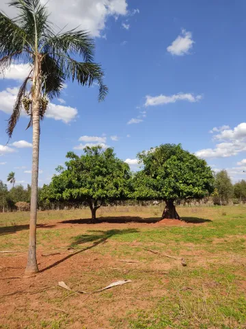 imagem 2 - Sítio a 2 km da cidade de Tanabi, com 2.5 alqueires (60.500m²), com casa, curral, tanque de peixe, poço artesiano imagem 2 - Sítio a 2 km da cidade de Tanabi, com 2.5 alqueires (60.500m²), com casa, curral, tanque de peixe, poço artesiano