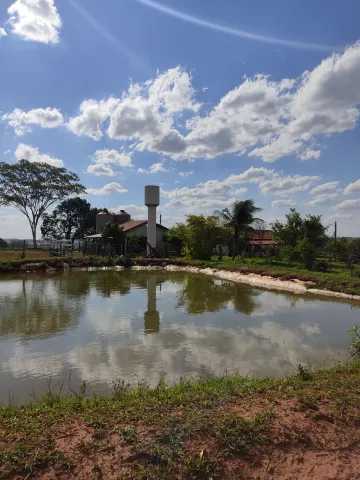 imagem 3 - Sítio a 2 km da cidade de Tanabi, com 2.5 alqueires (60.500m²), com casa, curral, tanque de peixe, poço artesiano imagem 3 - Sítio a 2 km da cidade de Tanabi, com 2.5 alqueires (60.500m²), com casa, curral, tanque de peixe, poço artesiano