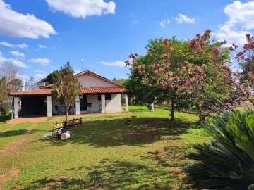 imagem 4 - Sítio a 2 km da cidade de Tanabi, com 2.5 alqueires (60.500m²), com casa, curral, tanque de peixe, poço artesiano imagem 4 - Sítio a 2 km da cidade de Tanabi, com 2.5 alqueires (60.500m²), com casa, curral, tanque de peixe, poço artesiano