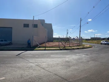 Comprar Terreno / Padrão em São José do Rio Preto R$ 299.000,00 - Foto 4