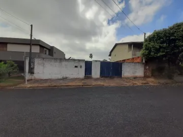 imagem 1 - Terreno de 525 m² no Tarraf I com edícula ao fundo imagem 1 - Terreno de 525 m² no Tarraf I com edícula ao fundo
