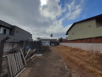 imagem 2 - Terreno de 525 m² no Tarraf I com edícula ao fundo imagem 2 - Terreno de 525 m² no Tarraf I com edícula ao fundo