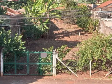 Terreno / Padrão em São José do Rio Preto 